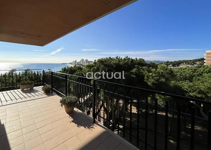 Cavall Bernat 36 * Castell-Platja d'Aro